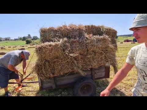 Видео: заготовка сена на зиму