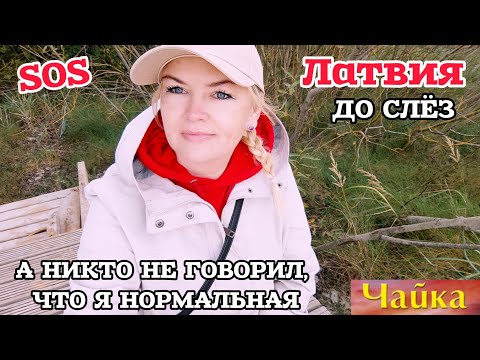 Видео: ЛАТВИЯ СРОЧНО НУЖНА ПОМОЩЬ Люди в шоке Новые правила История Тронула 💔#рекомендации Юрмала Море 