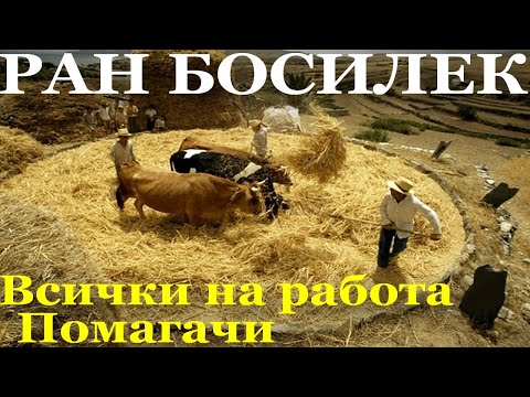 Видео: РАН БОСИЛЕК: ПАТИЛАНЧО НА СЕЛО: 5. Всички на работа - 6. Помагачи.