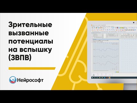 Видео: Зрительные вызванные потенциалы на вспышку (ЗВПВ)