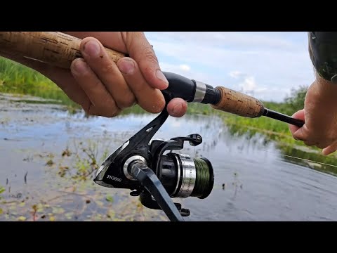 Видео: За щуками на Стохід. Рибний день