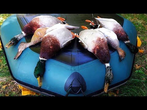 Видео: Охота на утку с подсадными. КОСУЛИ ВЫШЛИ!!