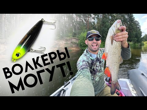Видео: ТОПВОТЕРЫ дают рекордного ГОЛАВЛЯ!