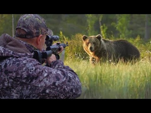 Видео: ОХОТА НА МЕДВЕДЯ. ЗВЕРЬ ПОДОШЁЛ НА 3 МЕТРА!!!