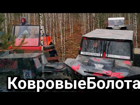 Видео: Ковровые Болота Охотник,Валли Мини,Феникс Про И Поджарый.
