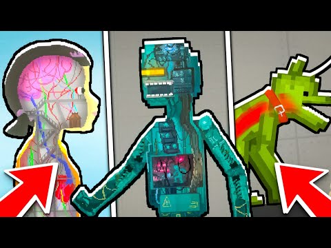 Видео: 🧐Я НАШЁЛ САМЕЫ ЛУЧШИЕ КАРТЫ В МЕЛОН ПЛЕЙГРАУНД