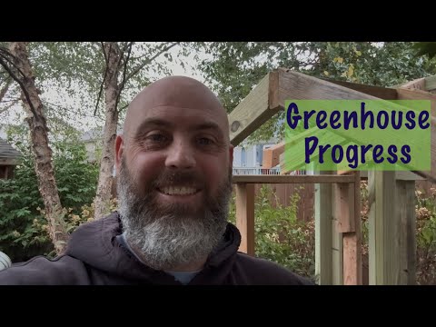 Видео: Прогресс в теплице...стиль Moxie Gardens
