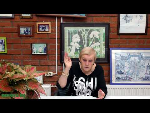 Видео: Отвечаем на вопросы наших зрителей №55