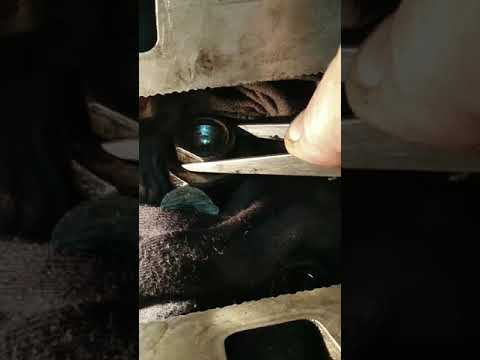 Видео: Крайслер вояджер 3.3