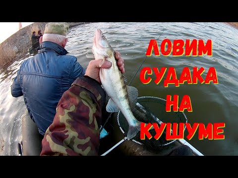 Видео: Едем на Кушум (Битик) ловить судака...