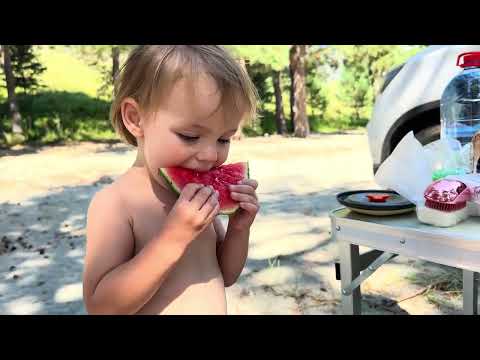 Видео: Алтай