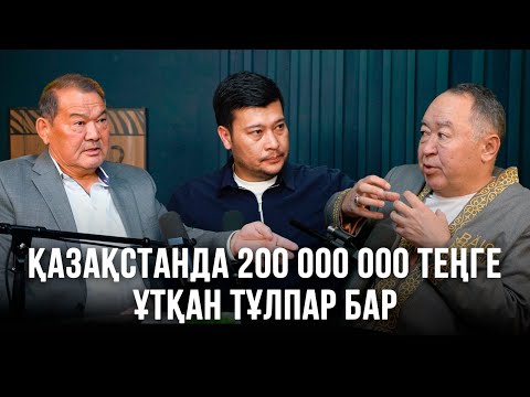 Видео: Қазақстанда 200 000 000 теңге ұтқан тұлпар бар | Миллионер жылқы | Допинг дауы | Дәуір дүбірі