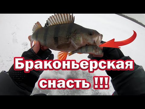 Видео: Просто БРАКОНЬЕРСКАЯ СНАСТЬ !!! Наши Деды так ловили  МЕШКАМИ Рыбу !!! Снасть Будущего из прошлого.