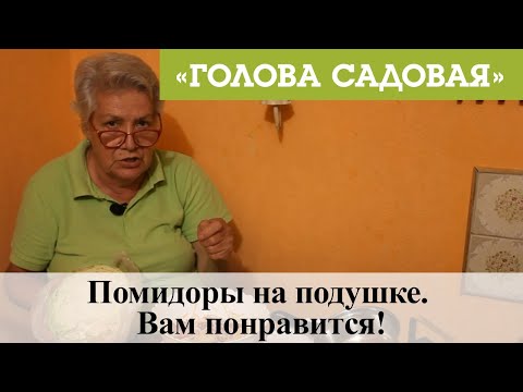 Видео: Голова садовая - Помидоры на подушке. Вам понравится!