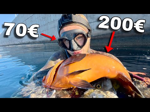 Видео: Сколько стоит моё снаряжение для подводной охоты? + идеальный день 🤿🍣