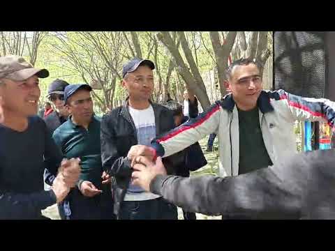 Видео: Хурсандии шермардони Косатарош дар наврӯзи 2025.
