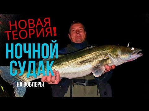 Видео: Судак офигел от этого! Новая Теория.