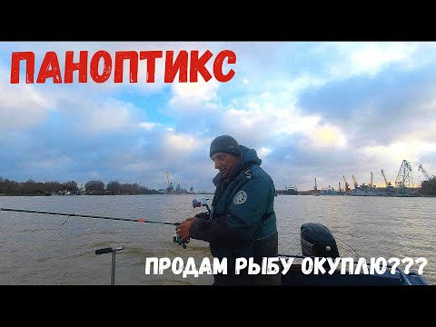 Видео: КУПИЛ ПАНОПТИКС! Мешки РЫБЫ КУДУ ЕЕ ДЕВАТЬ??? ОЖИДАНИЕ И РЕАЛЬНОСТЬ