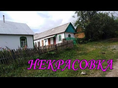 Видео: Прогулка по с.Некрасовка Урджарского района.Часть 3.