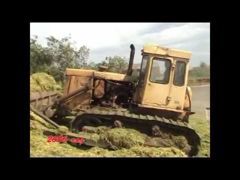 Видео: арефино