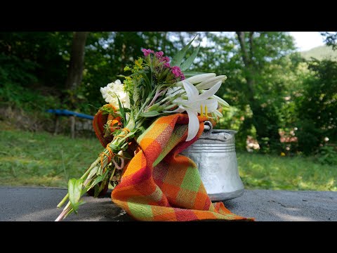 Видео: Еньова китка / ENIOVA KITKA