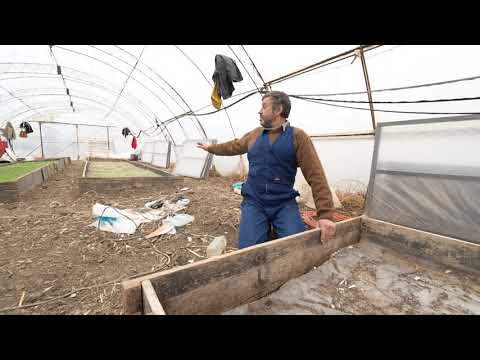 Видео: БЪЛГАРСКАТА ГРАДИНАРСКА ТРАДИЦИЯ част 5