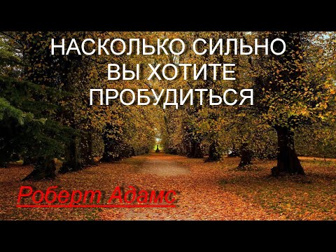 Видео: Насколько сильно вы хотите пробудиться?! [Р.Адамс, озв. Никошо]