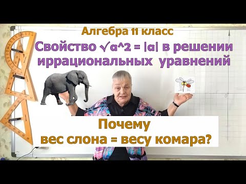 Видео: Иррациональные уравнения. Почему вес слона равен весу комара. Алгебра 11 класс