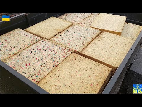 Видео: Перша зимово-весняна робота на пасіці (12.02.24)💪👍