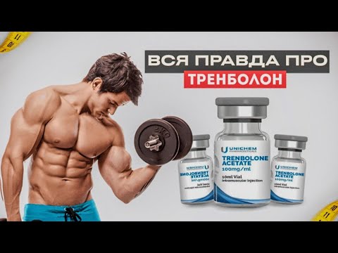 Видео: Вся правда про тренболон