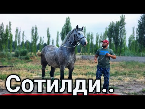 Видео: БАЙ БАЙ БУНИСИ КУРИНГ МИНИ БАРСА ОТ