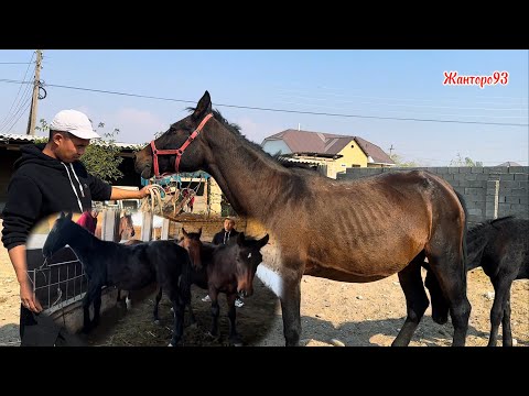 Видео: Эне бала Бээ Жана 2 Оспурум тел:+996-778-931-610  7 октября 2025 г.