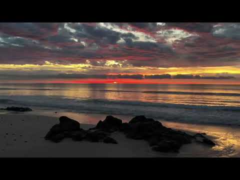 Видео: THE RIGANS. МОЛЧИ (cover)