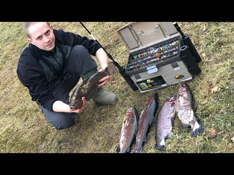 Видео: Рыбалка. Ловим форель на платном водоёме.