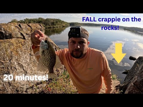Видео: БОЛЕЕ 20 МИНУТ ОСЕННЕЙ ЛОВЛИ КРАППИ С БЕРЕГА НА СКАЛАХ! ЭТО ЕСТЬ НА КАЖДОМ ОЗЕРЕ!