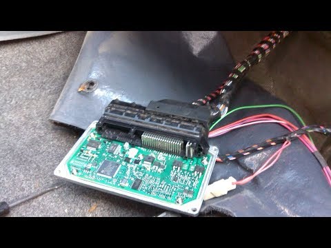 Видео: "Мозги" из 90-х...Подключение к OBD1 и полная диагностика ЭБУ