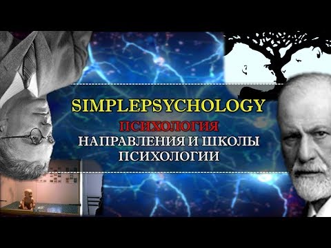 Видео: Психология. Направления и школы психологии.