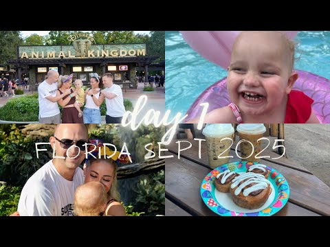 Видео: Видеоблог Walt Disney World | День 1 | Царство животных, Сплитсвилл, Дисней-Спрингс