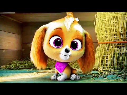 Видео: Казакша мультфильм | Щенячий патруль 2 | Күшік патрулі 2