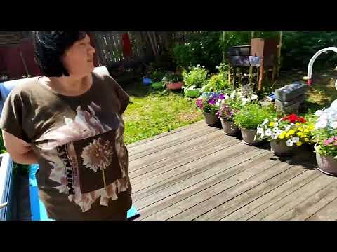 Видео: Алдан Саха Якутия, более 20 лет, чиновники бездействуют! Алдан тонет в фикалиях!