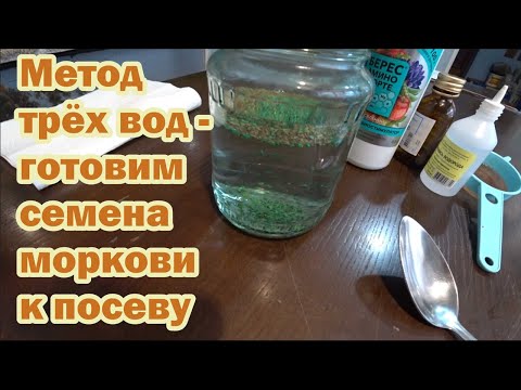 Видео: Метод трёх вод - подготовка семян моркови к 100% всхожести