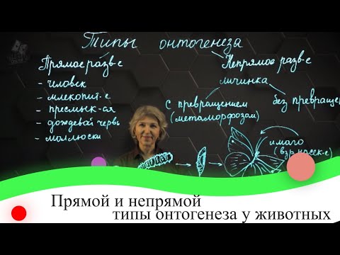 Видео: Прямой и непрямой типы онтогенеза у животных. 7 класс.