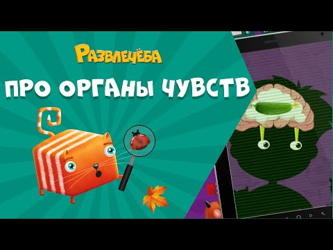 Видео: Развлечёба. Окружающий мир. Про органы чувств