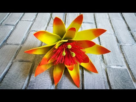 Видео: БОЛЬШИЕ ТРОПИЧЕСКИЕ ЦВЕТЫ. Цветок КАКТУСА из фома