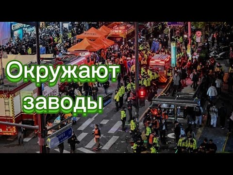 Видео: Миграционная полиция целыми автобусами депортирует из Кореи. #корея #жизньвкорее  #влогкорея