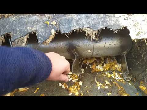 Видео: Мой Тыквоуборочный комбайн (Обзор)/Pumpkin harvester