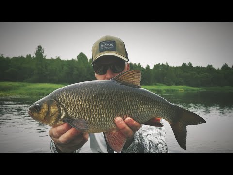 Видео: ЯЗИ,ГОЛАВЛИ! ДИКИЕ УДАРЫ В СПИННИНГ!