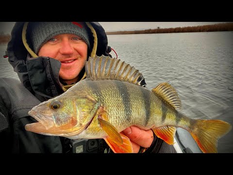 Видео: Крупный ЗИМНИЙ ОКУНЬ на ОТВОДНОЙ!!!