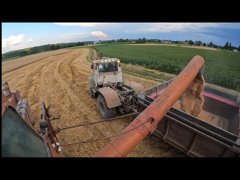 Видео: Жнива продовжуються❌Перша поломка НИВИ🥲Один Т 150К не вспіває возити від ниви🫢