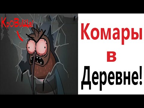 Видео: Лютые приколы. КОТ ПРОТИВ КОМАРОВ!!! Тест на психику! Засмеялся проиграл! – Domi Show!